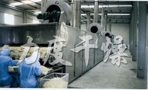 DWC系列脫水蔬菜帶式干燥機