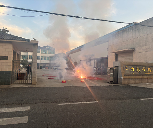 力度干燥——蛇年新程，開工大吉！